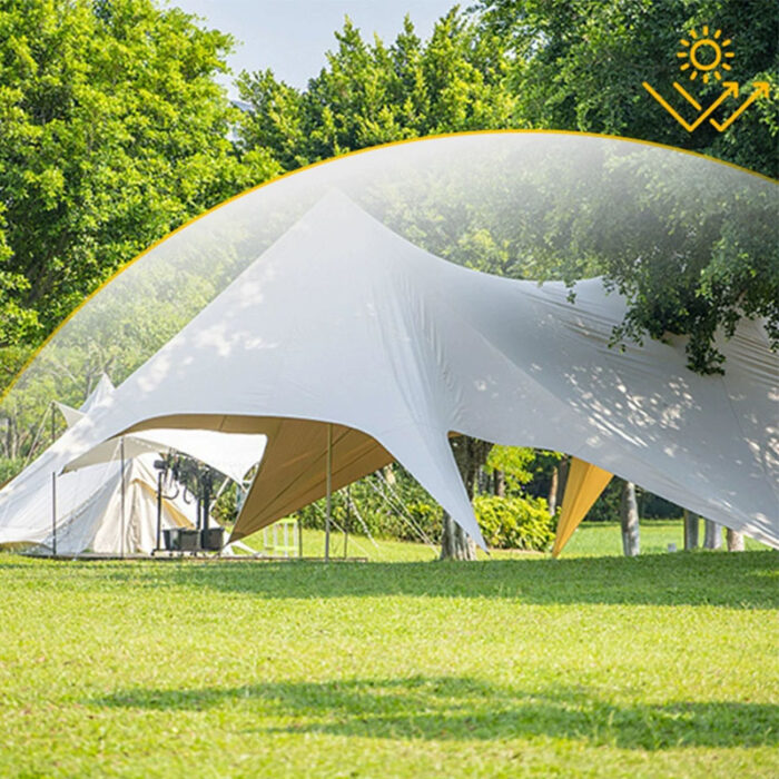 Best Twin Star Canopy EXPT003