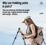 Best Folding trekking pole EXPH022