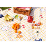 Best Sleeping mat EXPS026