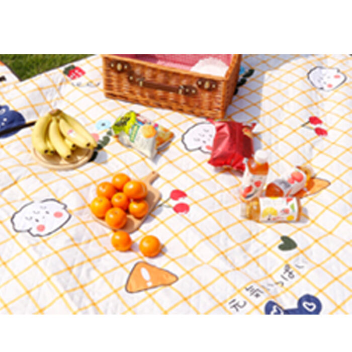 Best Sleeping mat EXPS026